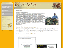 Tablet Screenshot of beetlesofafrica.com